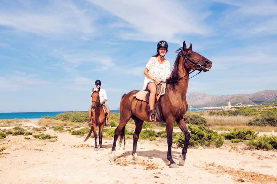 Soma Bay: Horse Riding Beach and Desert Tour With Transfer - The guides, photos, water, and tea