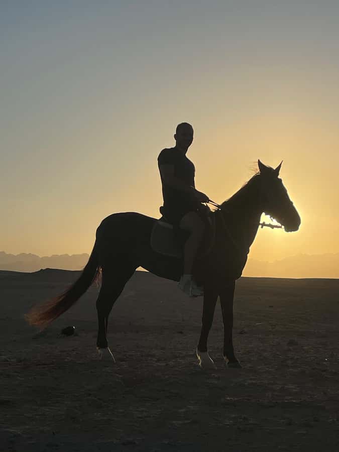 Soma Bay: Horse Riding Beach and Desert Tour With Transfer - Who should book this ride?