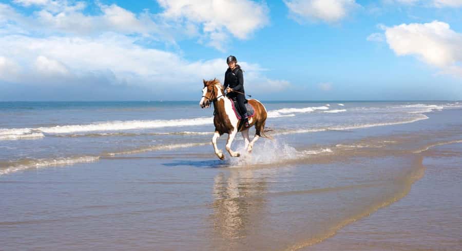 Soma Bay: Horse Riding Beach and Desert Tour With Transfer - Hotel pickup and the transfer question