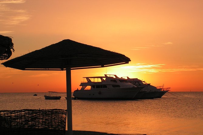Sorkeling Trip to the White Island & Ras Mohammed - Key things to know before you book