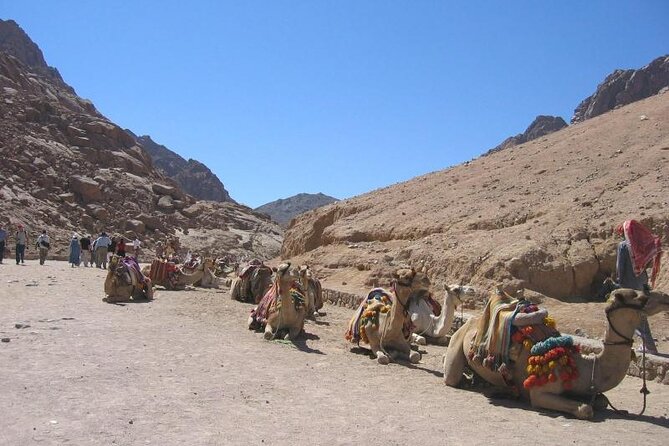 St Catherine Monastery and Mt Sinai Sunrise Tour from Dahab - Why this Dahab night trip is worth considering