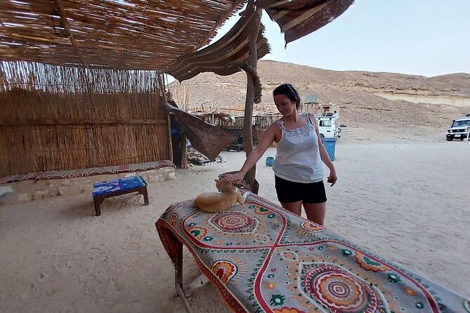 Stargazing in Hurghada Desert with Bedouin Dinner - From Hurghada hotels into the desert