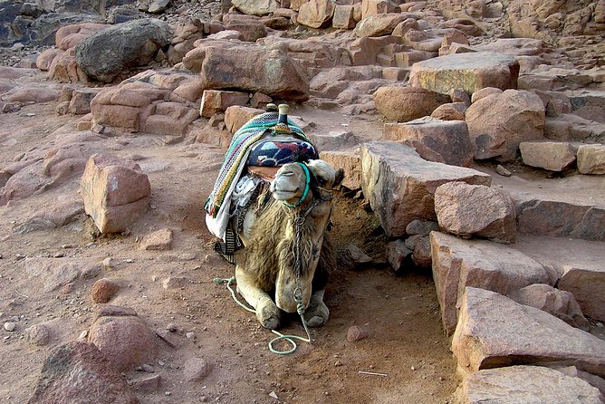 Sunrise at Mt.Sinai and St.Catherine monastery. Entrance included - Why this Mount Sinai trip is special