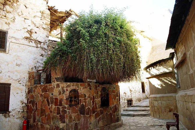 Sunrise at Mt.Sinai and St.Catherine monastery. Entrance included - What the $48 price really includes