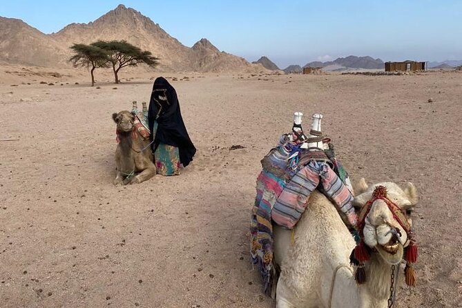 Sunset, Candle Light Dinner & Star Gazing from Hurghada - Stargazing with a telescope in a dark desert