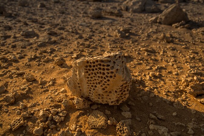 Sunset Luxury Experience to Dry Canyon Wadi Belli - Wadi Belli and the Red Sea’s Ancient Past