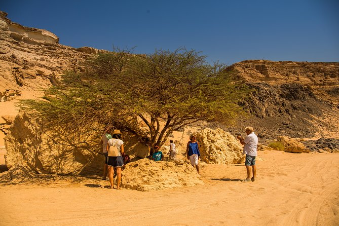 Sunset Oasis Desert Experience in El Gouna and Hurghada - Key points at a glance