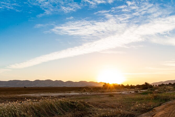 Sunset Oasis Desert Experience in El Gouna and Hurghada - Wadi Melaha, where water changes everything