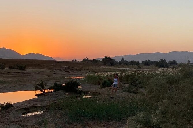 Sunset Oasis Desert Experience in El Gouna and Hurghada - Who will enjoy this outing most