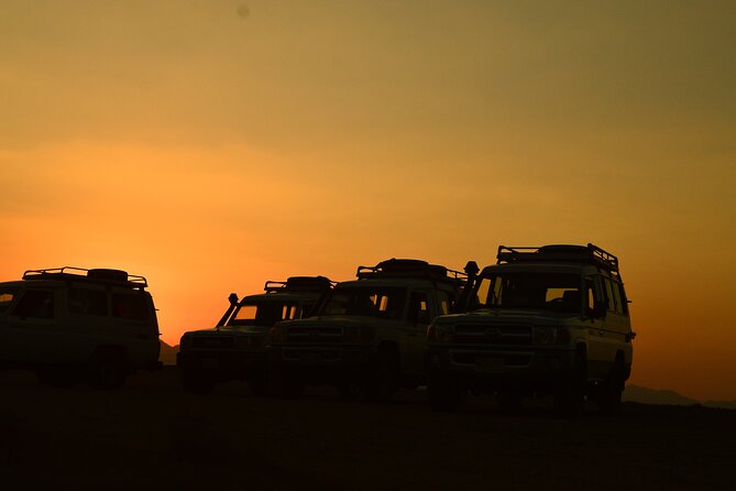 Sunset Safari trip by Jeep - Fossils in Wadi Billi canyon
