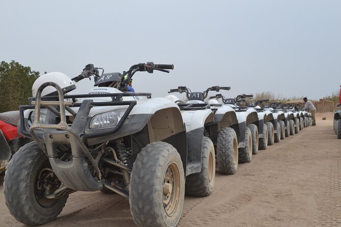 Super Safari ATV, Drive Buggy Car, Camel Ride, Bedouin Dinner, Show-Hurghada - Bedouin life, tea, and the village pharmacy