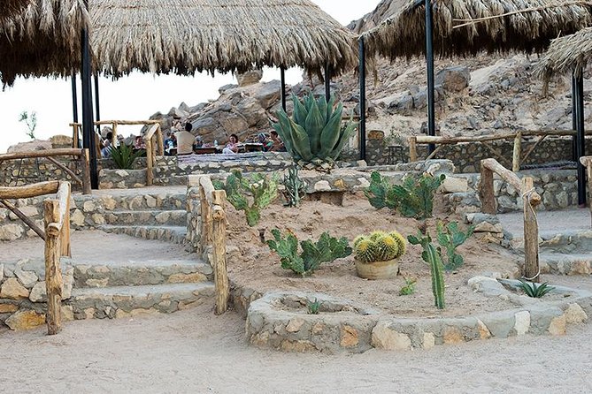 Super Safari, ATV & Sunset, Camel Ride With Dinner - Marsa Alam - Tea, flatbread, and the Bedouin village