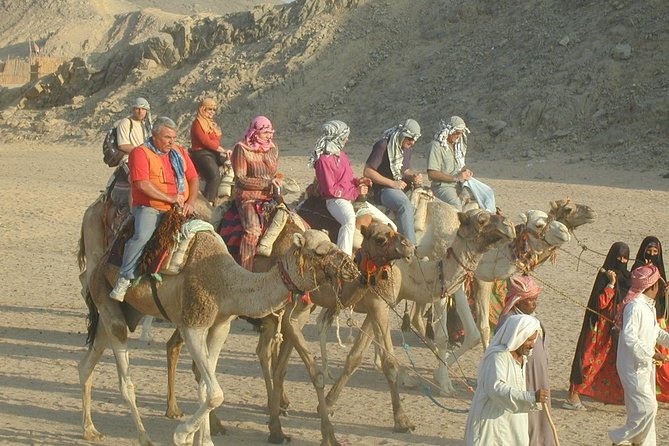 Super Safari ( Jeep - Quad- Buggy car-folklore-BBQ dinner) - BBQ dinner under the desert sky