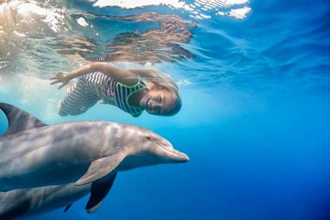 Swim with Dolphins Semi Private Speedboat Sea Tour - Hurghada - The speedboat ride to Dolphin House