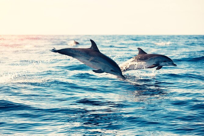 Swimming With Dolphin in Red Sea Adventure with Lunch - Hurgada - Banana ride and quadra water activity