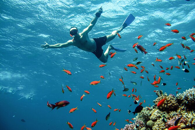 The Giftun Island Orange Sea Excursion from Hurghada - What this Hurghada boat trip actually offers