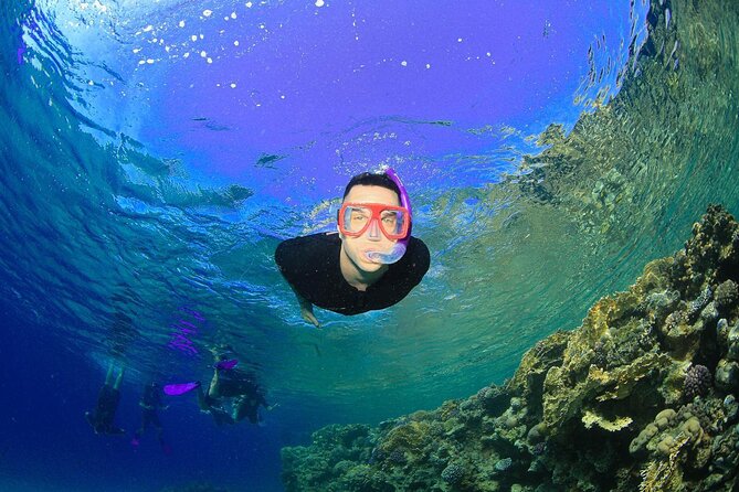 Tiran Island Snorkeling Experience by Yacht Sharm El Sheikh - Second snorkeling stop: useful, but less predictable