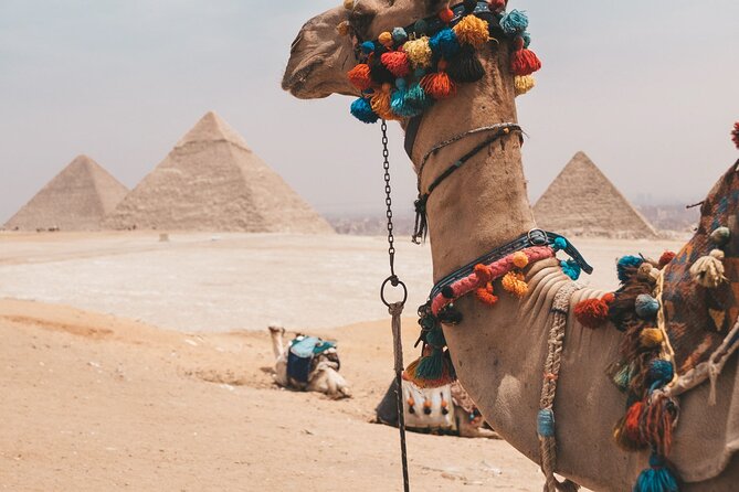 Trip To Cairo from Alexandria - The Egyptian Museum and King Tutankhamun’s treasures