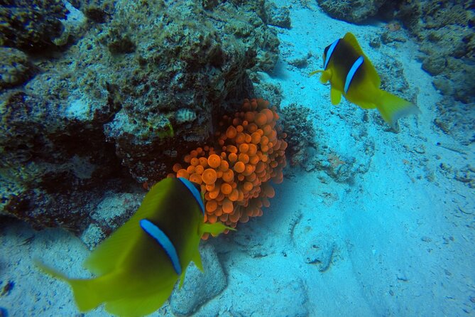 Try Scuba Diving Experience for Beginners in Hurghada - Lunch on the boat breaks up the day