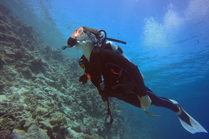 Try Scuba Diving Experience for Beginners in Hurghada - Why the small group can make a big difference