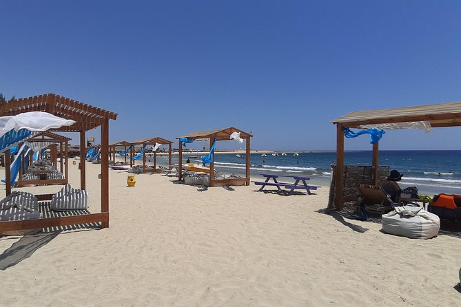 Turtles Bay, Swimming with Turtles Hurghada & Marsa ALam - Why Abu Dabbab is the main attraction