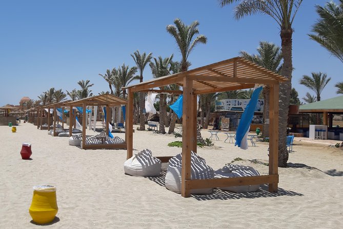 Turtles Bay, Swimming with Turtles Hurghada & Marsa ALam - The turtles and the rare dugong possibility