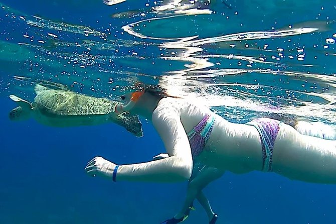 Turtles Bay, Swimming with Turtles Hurghada & Marsa ALam - Why the small group matters
