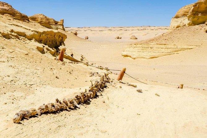 Valley of Whales and Wadi El Rayan Water Falls Day Tour from Cairo - The 4x4 ride across Wadi El Rayan