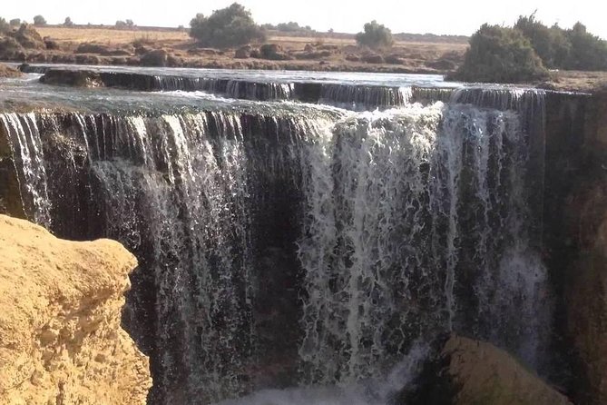 Valley of Whales and Wadi El Rayan Water Falls Day Tour from Cairo - What the $90 price delivers
