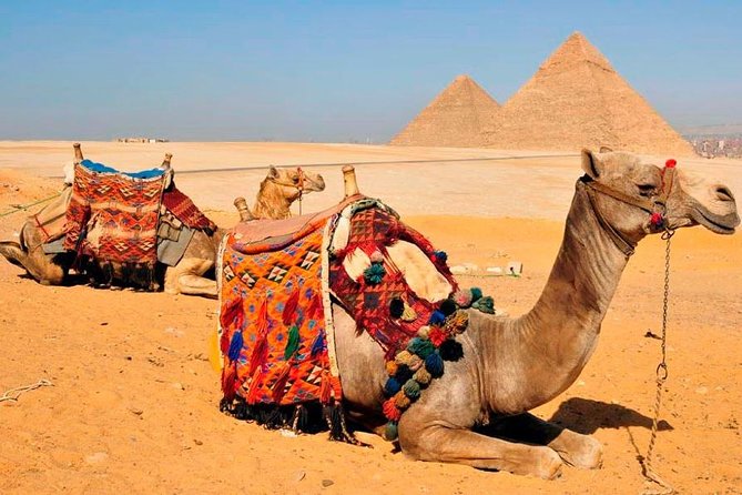 VIP All inclusive Best of Giza Pyramids, Sphinx, Sakkara, Memphis - Saqqara and the Step Pyramid of Djoser