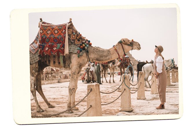 VIP All inclusive Best of Giza Pyramids, Sphinx, Sakkara, Memphis - Transport, lunch, and the VIP label