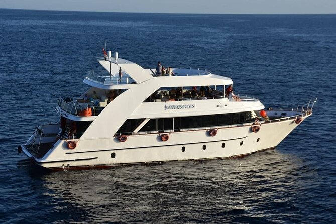 VIP Ras Mohamed and White Island boat trip - Key points to know before booking