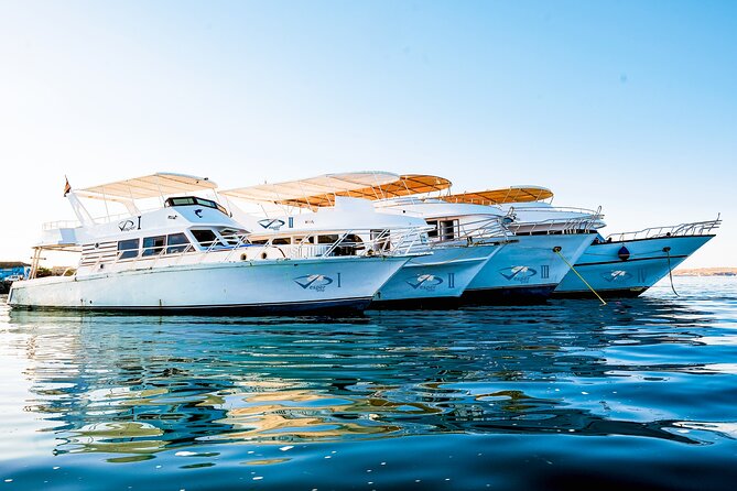 Viva Egypt hurghada Hula Hula Island & Lunch & Water sports 3<em>1 – Key points at a glance’ /></p>
<ul>
<li><strong>Two coral reef stops:</strong> You get around an hour of snorkeling at the first reef, with another stop included during the boat outing.</li>
<li><strong>Hula Hula beach time:</strong> The island offers white sand, clear water, time to relax, and room to explore at your own pace.</li>
<li><strong>Lunch and drinks included:</strong> A simple open buffet comes with one soft drink, while bottled water, tea, coffee, and soda are also listed.</li>
<li><strong>Banana and quadra rides:</strong> The water sports add a lively, family-friendly element to what could otherwise be a quiet beach day.</li>
<li><strong>Small group size:</strong> The outing is capped at 15 people, which should make the boat experience more manageable than a large cruise.</li>
<li><strong>Extra charges matter:</strong> Some hotel zones cost $5 or $10 extra for round-trip transfers, and a $3 tourist tax is paid in cash.</li>
</ul>
<h2 id="what-this-hurghada-boat-trip-really-offers">What this Hurghada boat trip really offers</h2>
<p>1 – What this Hurghada boat trip really offers’ /></p>
<p><p>This is an all-day Red Sea outing, not a quick beach transfer. Pickup begins around 8:00 a.m., you transfer to the marina, sail for roughly 45 minutes, stop to snorkel, continue to Hula Hula Beach, eat lunch, enjoy the included activities, and head back around 4:30 p.m.</p>
</p>
<p><p>That schedule gives you about seven to eight hours away from your hotel. For $30, the value is strong on paper because several separate costs are bundled together: boat transport, snorkeling gear, lunch, bottled water, hot drinks, soft drinks, and water sports.</p>
</p>
<p><p>I would think of this as a broad sampler rather than a specialist reef excursion. You get a little of everything: open water, coral, beach, food, and rides. If your ideal day includes long, quiet time underwater, the beach schedule and group activities may feel less focused. If you want variety without arranging each part yourself, the format makes good sense.</p>
</p>
<p><p>The island name can be slightly confusing. The material describes both Hula Hula Island and Paradise Island, including Hula Hula Beach and Paradise Island in the overview. Confirm the exact destination name with the operator when you book, especially if you are arranging your own way to the meeting point.</p>
</p>
<div class="twil" style="margin: 20px 0; padding: 15px 0;"><p>More Water Sports in Hurghada</p><ul style="margin: 10px 0; padding-left: 0; list-style: none;"><li style="margin: 0 0 12px 0; padding: 0 0 12px 0; border-bottom: 1px solid #eee; line-height: 1.4;"><a href="https://egyptiantourreviews.com/orange-bay-island-snorkeling-trip-with-water-sports-hurghada/">Orange Bay Island Snorkeling Trip With Water Sports – Hurghada</a><br><span style="font-size: 0.82em; color: #555;"><span style="color: #F0A50F;">★</span> 5.0 · 2,003 reviews</span></li><li style="margin: 0 0 12px 0; padding: 0 0 12px 0; border-bottom: 1px solid #eee; line-height: 1.4;"><a href="https://egyptiantourreviews.com/hurghada-orange-bay-day-trip-with-water-sports-and-lunch/">Hurghada: Orange Bay Day Trip with Water Sports and Lunch</a><br><span style="font-size: 0.82em; color: #555;"><span style="color: #F0A50F;">★</span> 4.9 · 1,746 reviews</span></li><li style="margin: 0; padding: 0; border-bottom: none; line-height: 1.4;"><a href="https://egyptiantourreviews.com/hurghada-orange-bay-snorkeling-watersports-lunch-drinks/">Hurghada: Orange Bay, Snorkeling, Watersports, Lunch & Drinks</a><br><span style="font-size: 0.82em; color: #555;"><span style="color: #F0A50F;">★</span> 4.5 · 1,652 reviews</span></li></ul></div><h2 id="leaving-hurghada-and-reaching-the-reef">Leaving Hurghada and reaching the reef</h2>
<p><img width="669" height="446" decoding="async" src=