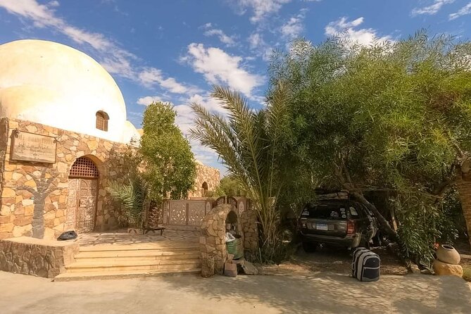 White Desert & Bahariya oasis 3 days 2 nights Tour from Cairo - Bahariya Springs and the practical side of oasis life